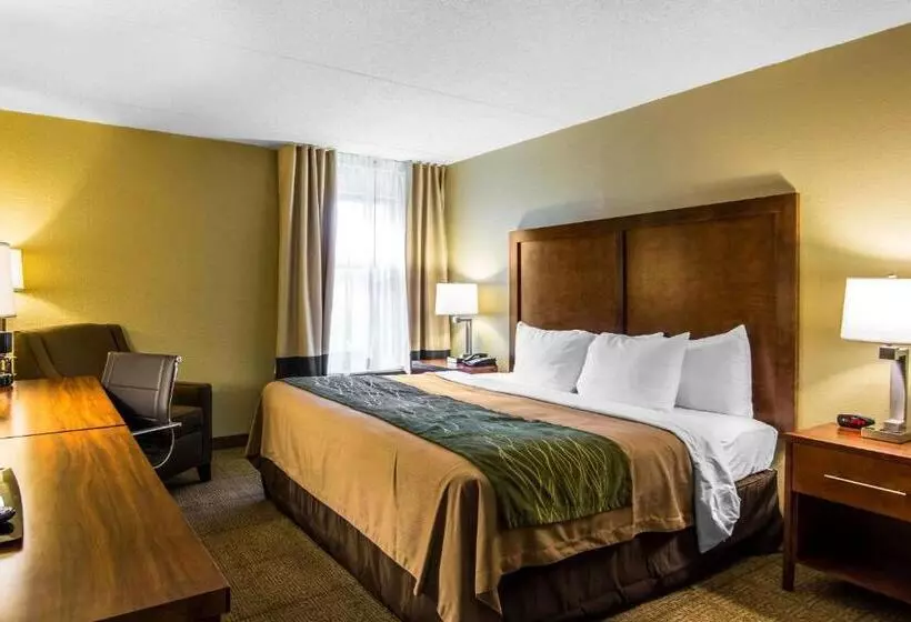 اتاق استاندارد با تخت بزرگ, Comfort Inn Newport News Williamsburg East