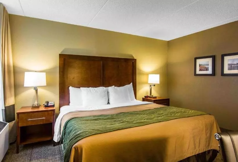 اتاق استاندارد با تخت بزرگ, Comfort Inn Newport News Williamsburg East