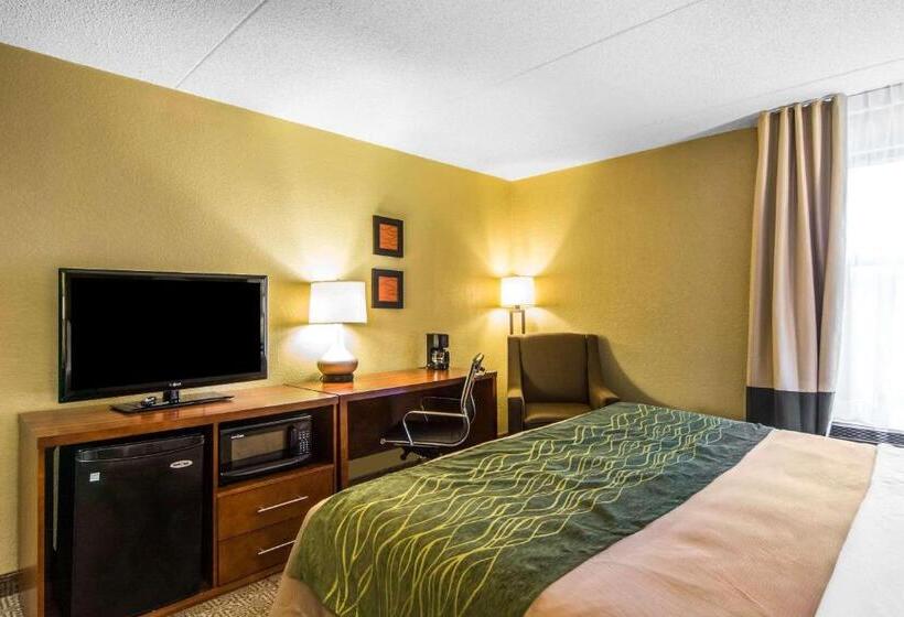 스탠다드 룸 킹사이즈 침대, Comfort Inn Newport News Williamsburg East
