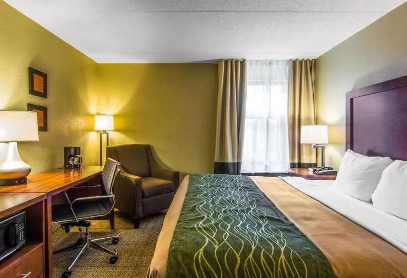 اتاق استاندارد با تخت بزرگ, Comfort Inn Newport News Williamsburg East