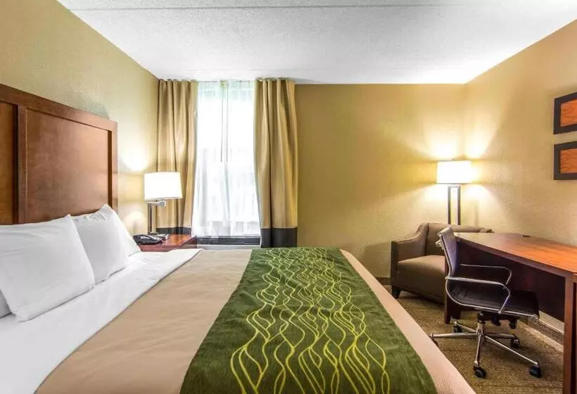 اتاق استاندارد با تخت بزرگ, Comfort Inn Newport News Williamsburg East