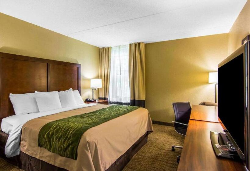 스탠다드 룸 킹사이즈 침대, Comfort Inn Newport News Williamsburg East