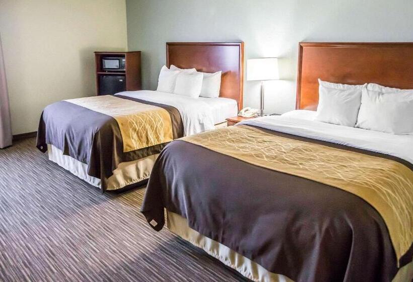 Номер Стандарт, Comfort Inn