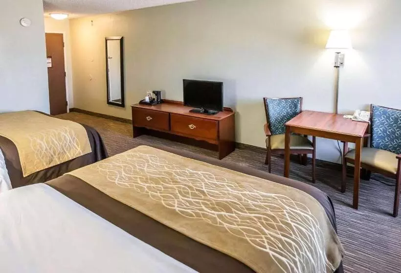 スタンダードルーム, Comfort Inn