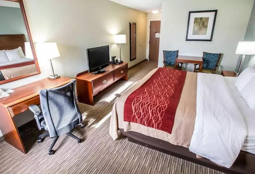 身障者適用キングサイズベッドルーム, Comfort Inn