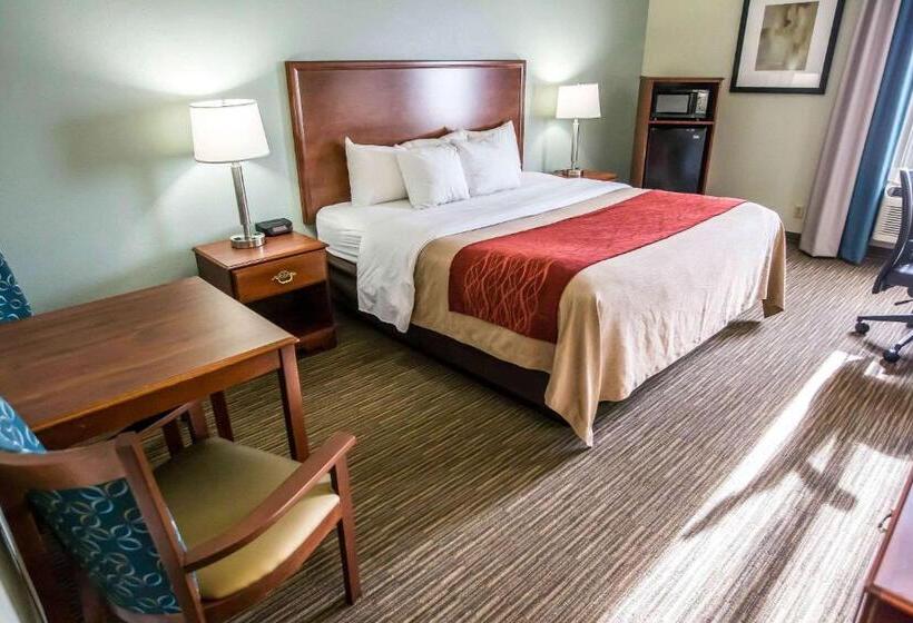 Номер Стандарт Кровать Кинг Адаптированный для Инвалидов, Comfort Inn