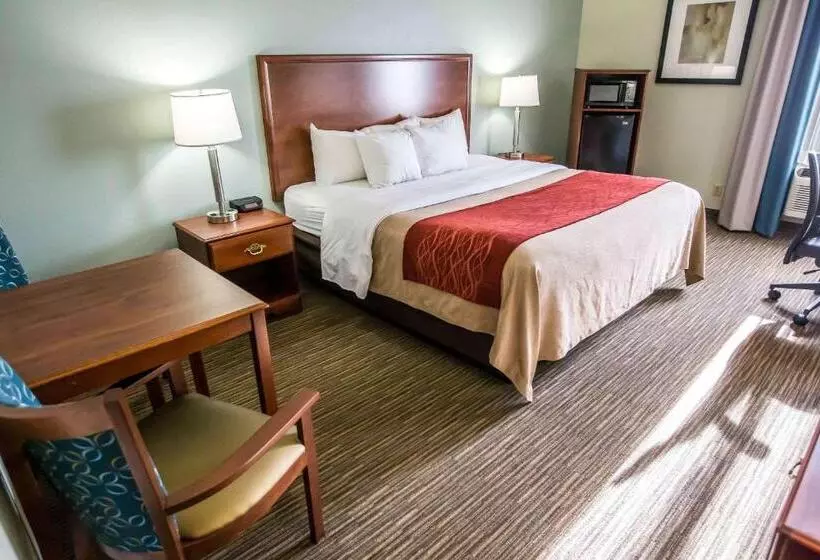 身障者適用キングサイズベッドルーム, Comfort Inn