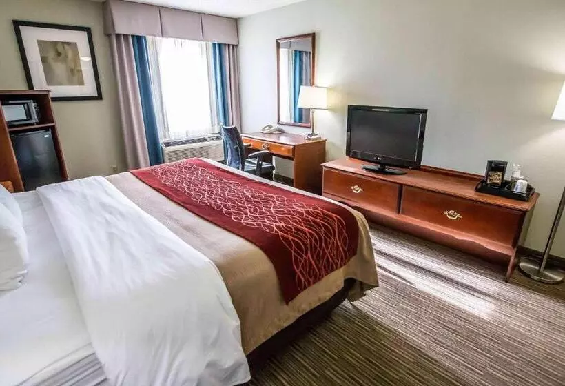 身障者適用キングサイズベッドルーム, Comfort Inn