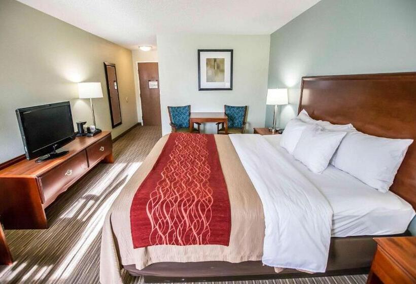 Номер Стандарт Кровать Кинг Адаптированный для Инвалидов, Comfort Inn