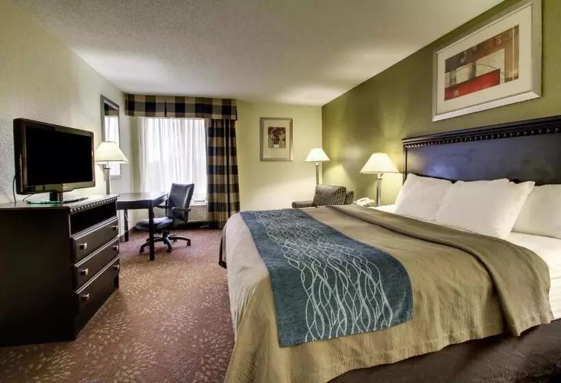 キングサイズベッドのスタンダードルーム, Comfort Inn & Suites La Grange Louisville Area