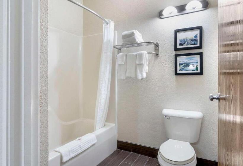 标准间, Comfort Inn & Suites