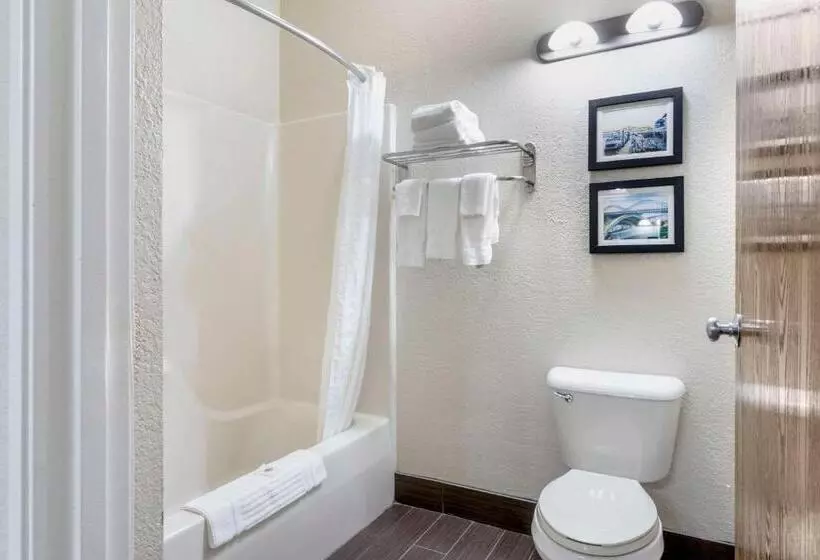 スタンダードルーム, Comfort Inn & Suites La Grange Louisville Area