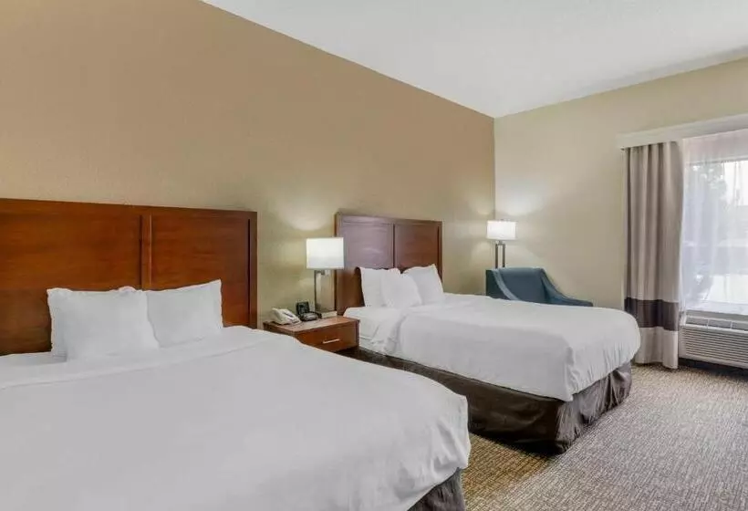 スタンダードルーム, Comfort Inn & Suites La Grange Louisville Area