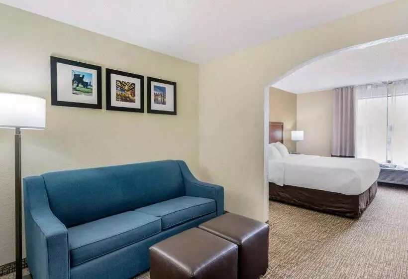 キングサイズベッドのスイートルーム, Comfort Inn & Suites La Grange Louisville Area