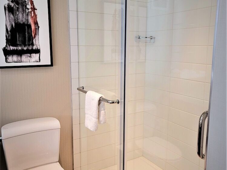 غرفة قياسية لذوى الاحتياجات الخاصة, Delta Hotels By Marriott Denver Thornton