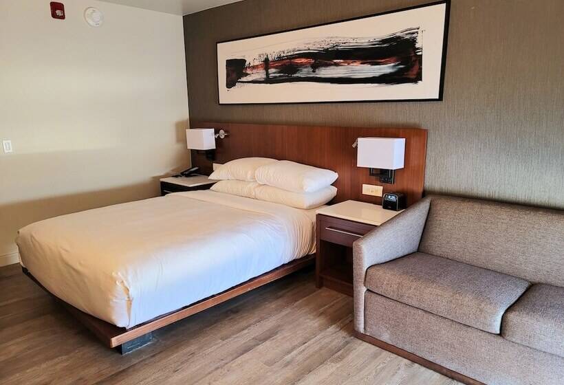 غرفة قياسية لذوى الاحتياجات الخاصة, Delta Hotels By Marriott Denver Thornton