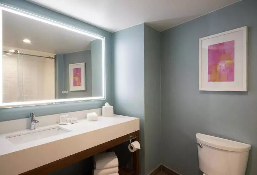 اتاق لوکس, Fairfield Inn & Suites By Marriott Camarillo