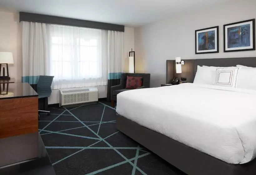 اتاق لوکس با تخت بزرگ, Fairfield Inn & Suites By Marriott Camarillo