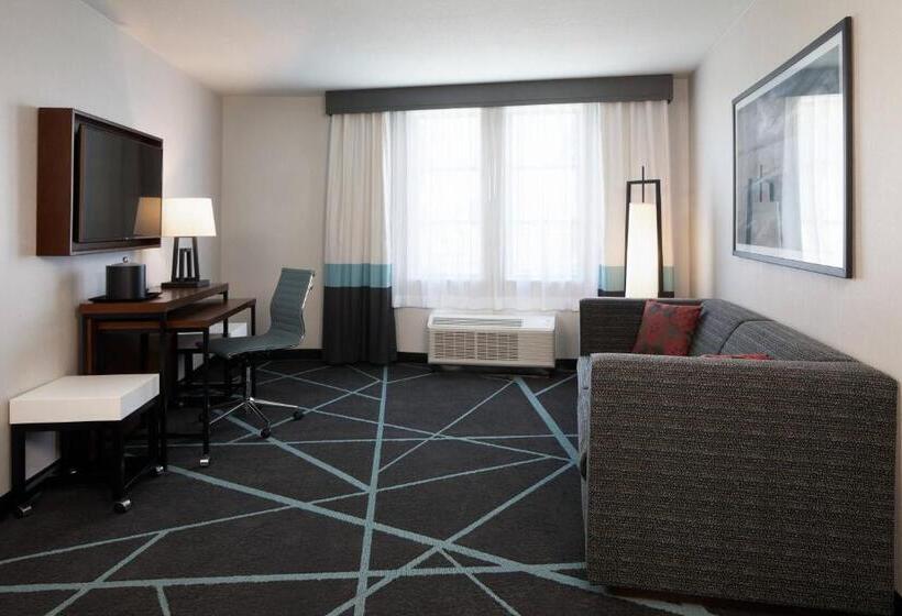 이그제큐티브 스위트 킹침대, Fairfield Inn & Suites By Marriott Camarillo