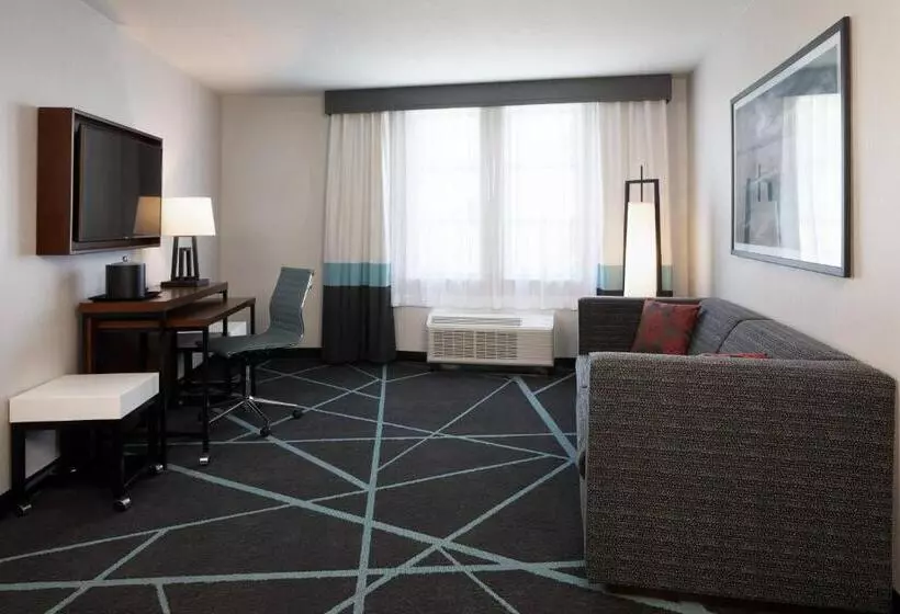 سوئیت اجرایی با تخت کینگ, Fairfield Inn & Suites By Marriott Camarillo
