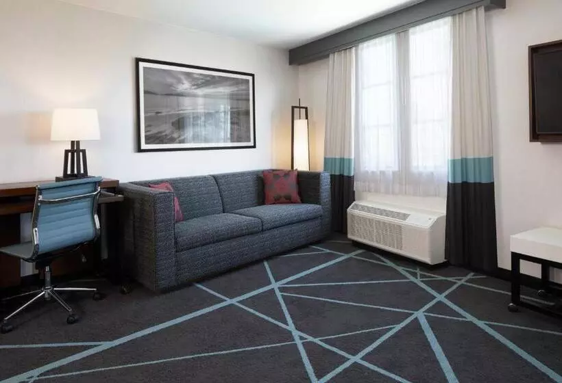 سوئیت اجرایی با تخت کینگ, Fairfield Inn & Suites By Marriott Camarillo