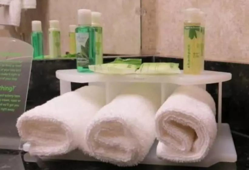 身障者適用スイートルーム, Links Bos Landen Hotel & Spa Of Pella, Trademark By Wyndham