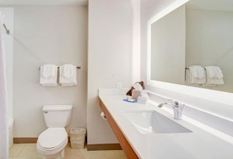 Suíte, Holiday Inn Express & Suites Quincy I 10, An Ihg