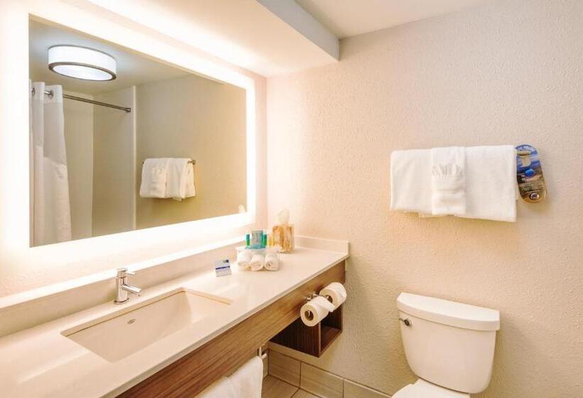 キングサイズベッドのスタンダードルーム, Holiday Inn Express Charleston Us Highway 17 & I 526, An Ihg