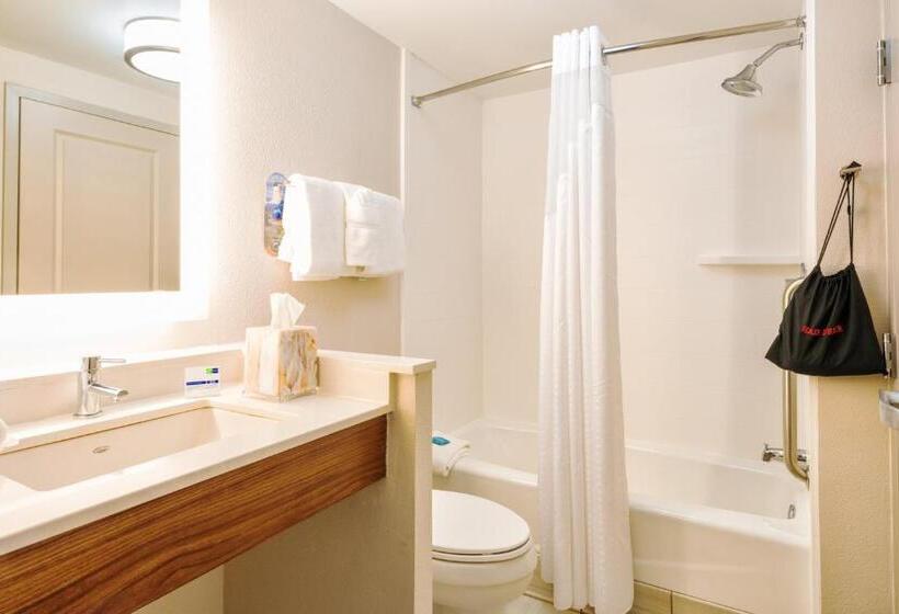 Suite King Size Bed, Holiday Inn Express Charleston Us Highway 17 & I 526, An Ihg