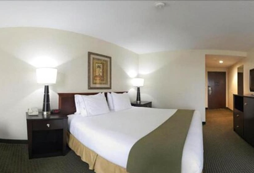 غرفة قياسية, Holiday Inn Express Harlingen By Ihg