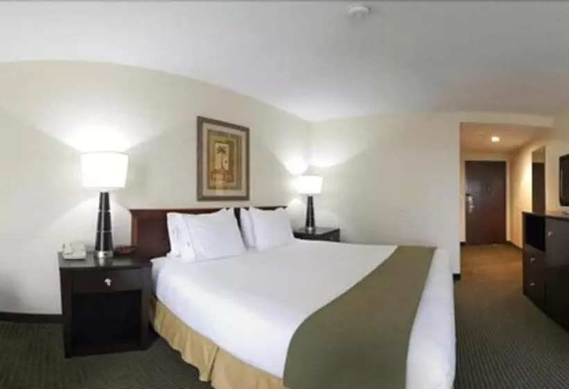 Standard-huone, Holiday Inn Express Harlingen By Ihg