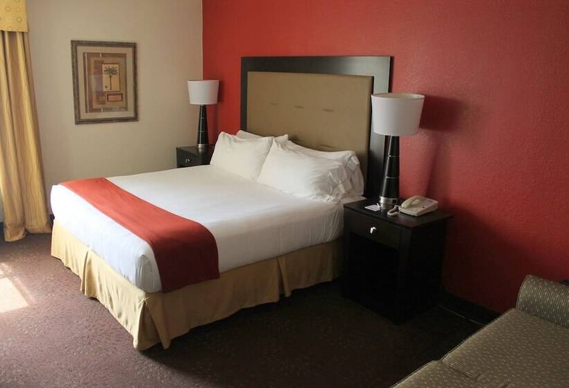 غرفة قياسية, Holiday Inn Express Harlingen By Ihg