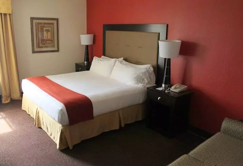 Standard-huone, Holiday Inn Express Harlingen By Ihg