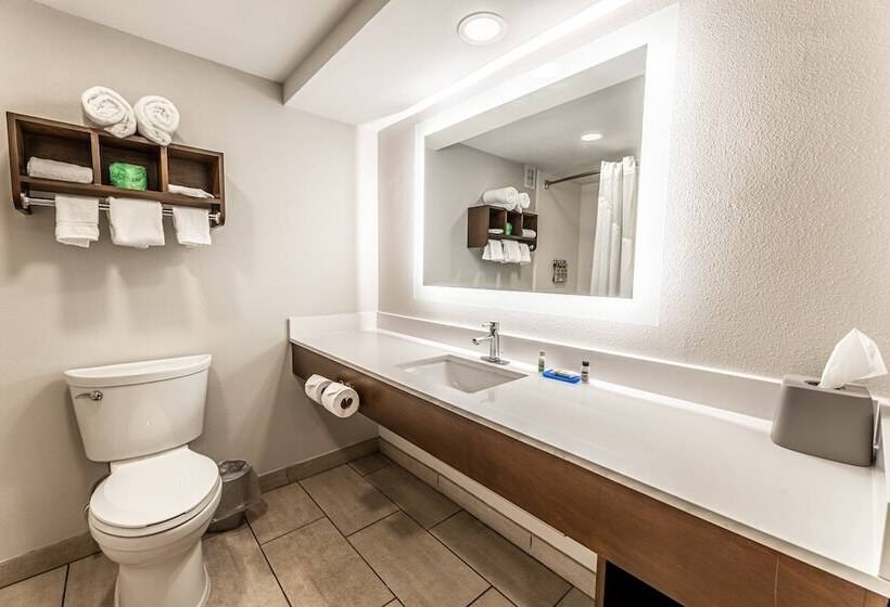 غرفه قياسيه سريرين مزدوجين, Holiday Inn Express Indianapolis South, An Ihg