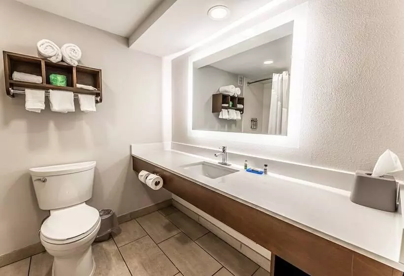 ２ダブルベッドのスタンダードルーム, Holiday Inn Express Indianapolis South, An Ihg