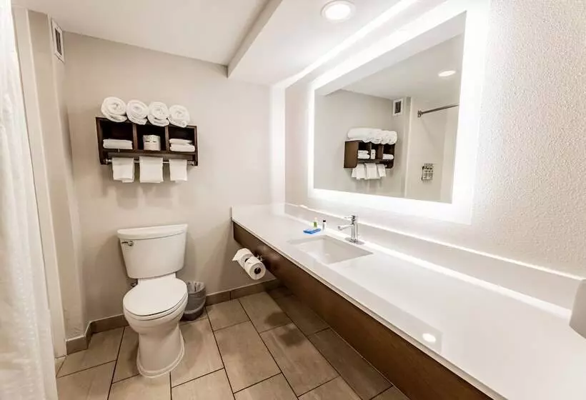 ２ダブルベッドのスタンダードルーム, Holiday Inn Express Indianapolis South, An Ihg