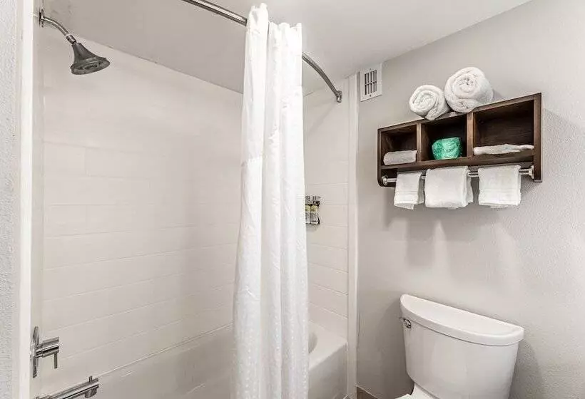 ２ダブルベッドのスタンダードルーム, Holiday Inn Express Indianapolis South, An Ihg