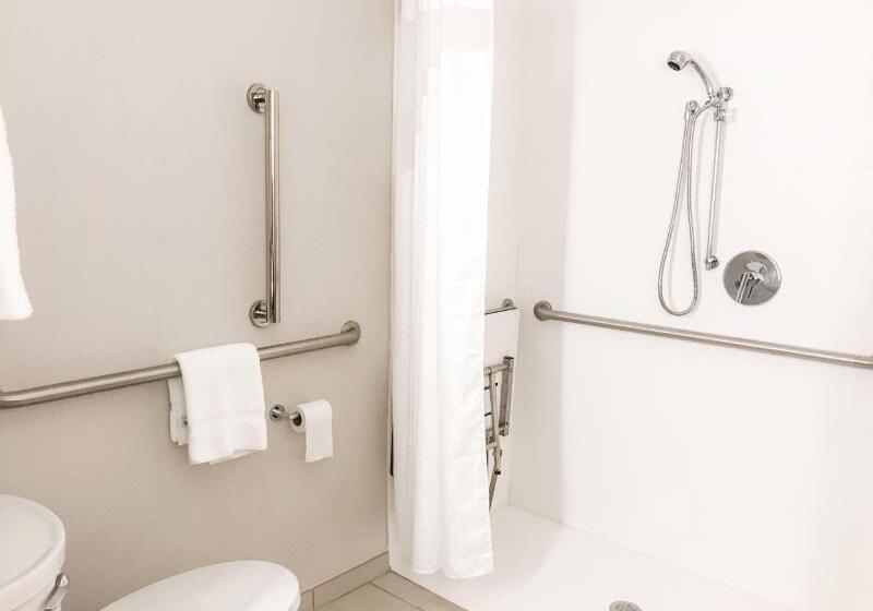 غرفة قياسية سرير كينج, Holiday Inn Express Statesboro, An Ihg