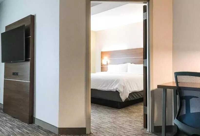 キングサイズベッドのスイートルーム, Holiday Inn Express Statesboro, An Ihg