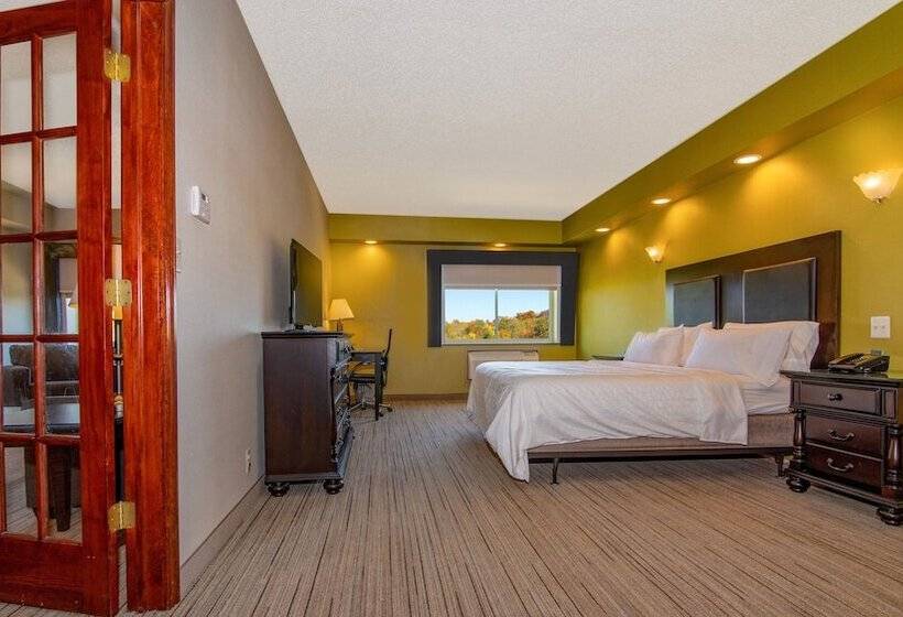 סוויטה, Holiday Inn Express Stony Brook Long Island, An Ihg