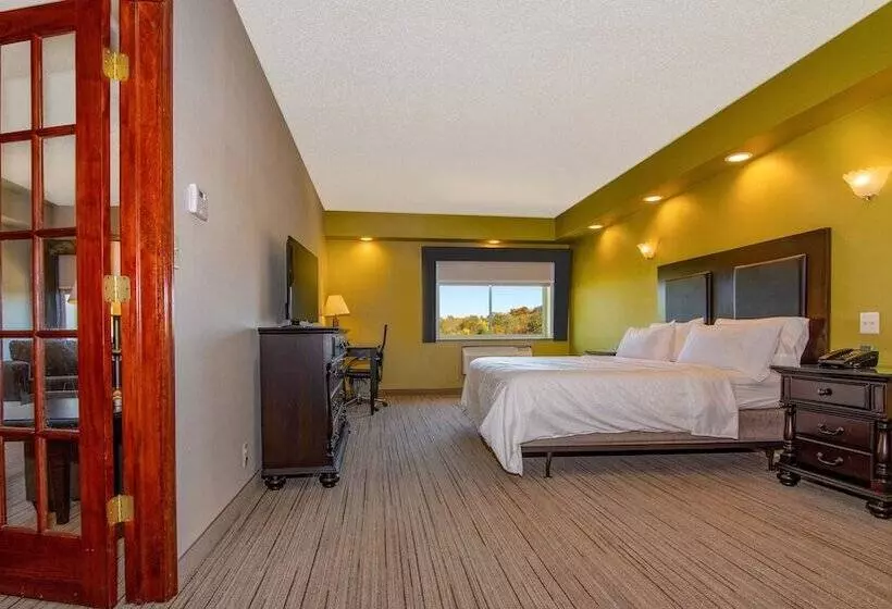 スイート, Holiday Inn Express Stony Brook Long Island, An Ihg