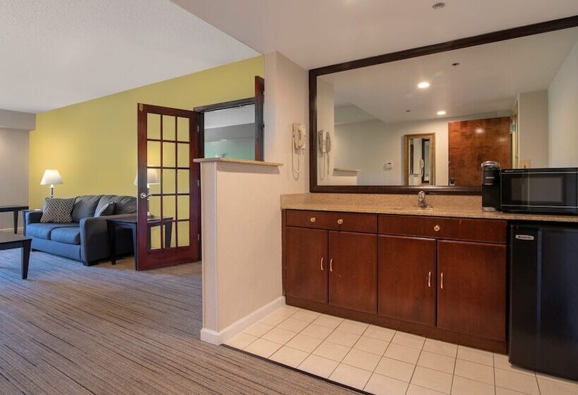 סוויטה, Holiday Inn Express Stony Brook Long Island, An Ihg