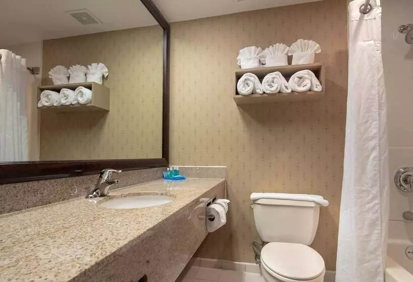 スイート, Holiday Inn Express Stony Brook Long Island, An Ihg