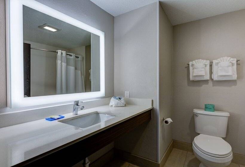 스탠다드 룸 더블 침대 2개, Holiday Inn Express & Suites Ashtabula Geneva, An Ihg