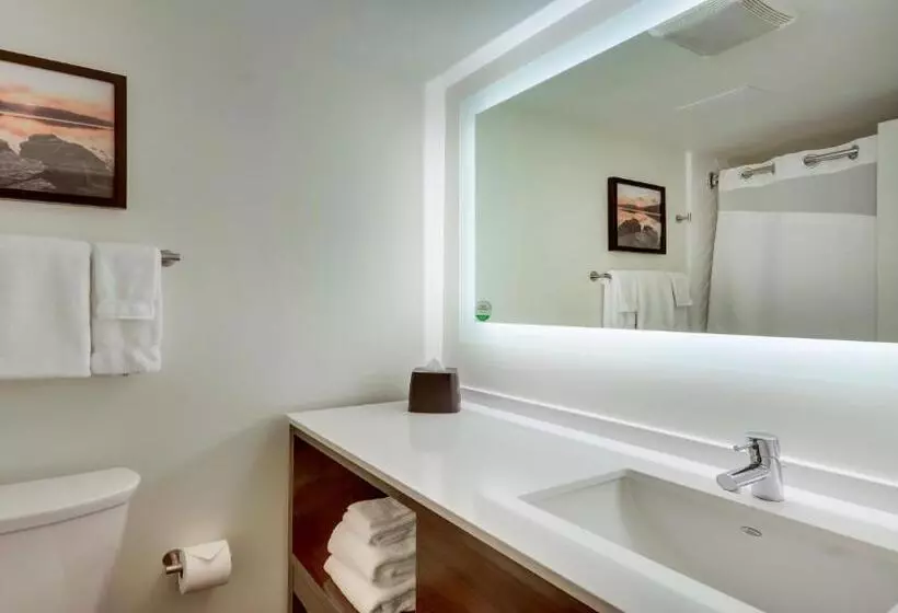 اتاق استاندارد با تخت بزرگ, Holiday Inn Staunton Conference Center, An Ihg