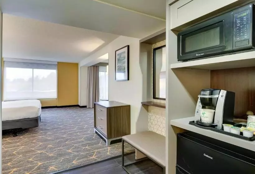 اتاق دلوکس مخصوص معلولین, Holiday Inn Staunton Conference Center, An Ihg