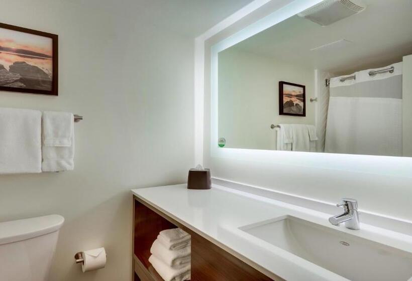 Номер Стандарт Кровать Кинг Адаптированный для Инвалидов, Holiday Inn Staunton Conference Center, An Ihg