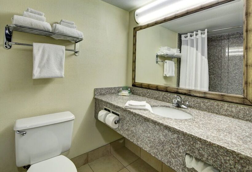 Номер Стандарт, Holiday Inn Staunton Conference Center, An Ihg