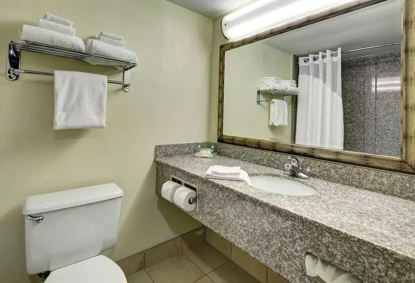 اتاق استاندارد, Holiday Inn Staunton Conference Center, An Ihg