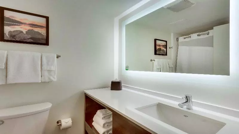 اتاق استاندارد با چشم‌انداز زمین, Holiday Inn Staunton Conference Center, An Ihg